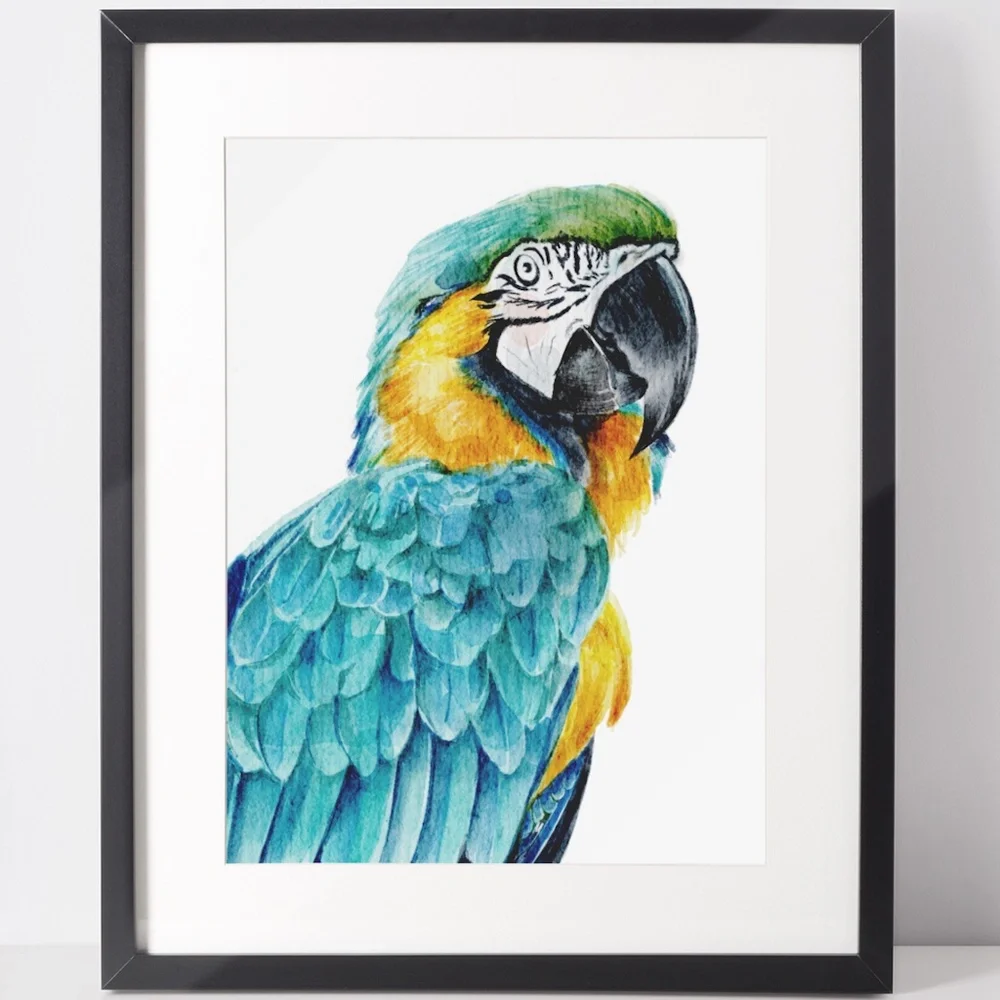 Blue Macaw Parrot Bird Watercolor Wall Art Print Poster Unframed - Picture 2 of 8